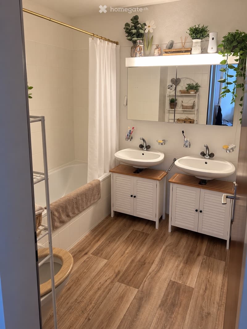 Sonnige 3 Zimmer Wohnung in Liestal (2)