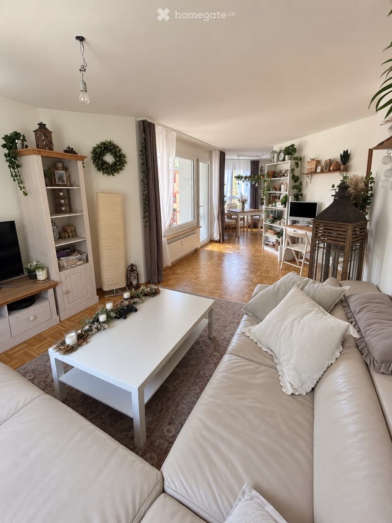 Sonnige 3 Zimmer Wohnung in Liestal (3)