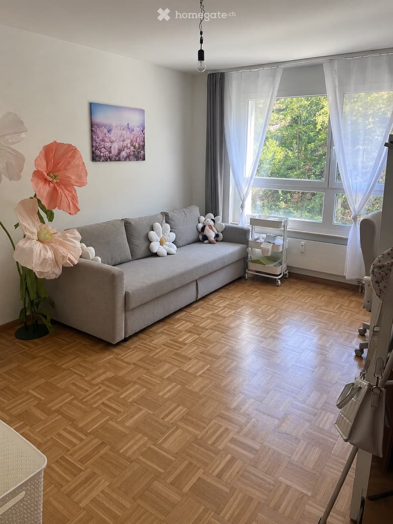 Sonnige 3 Zimmer Wohnung in Liestal (5)