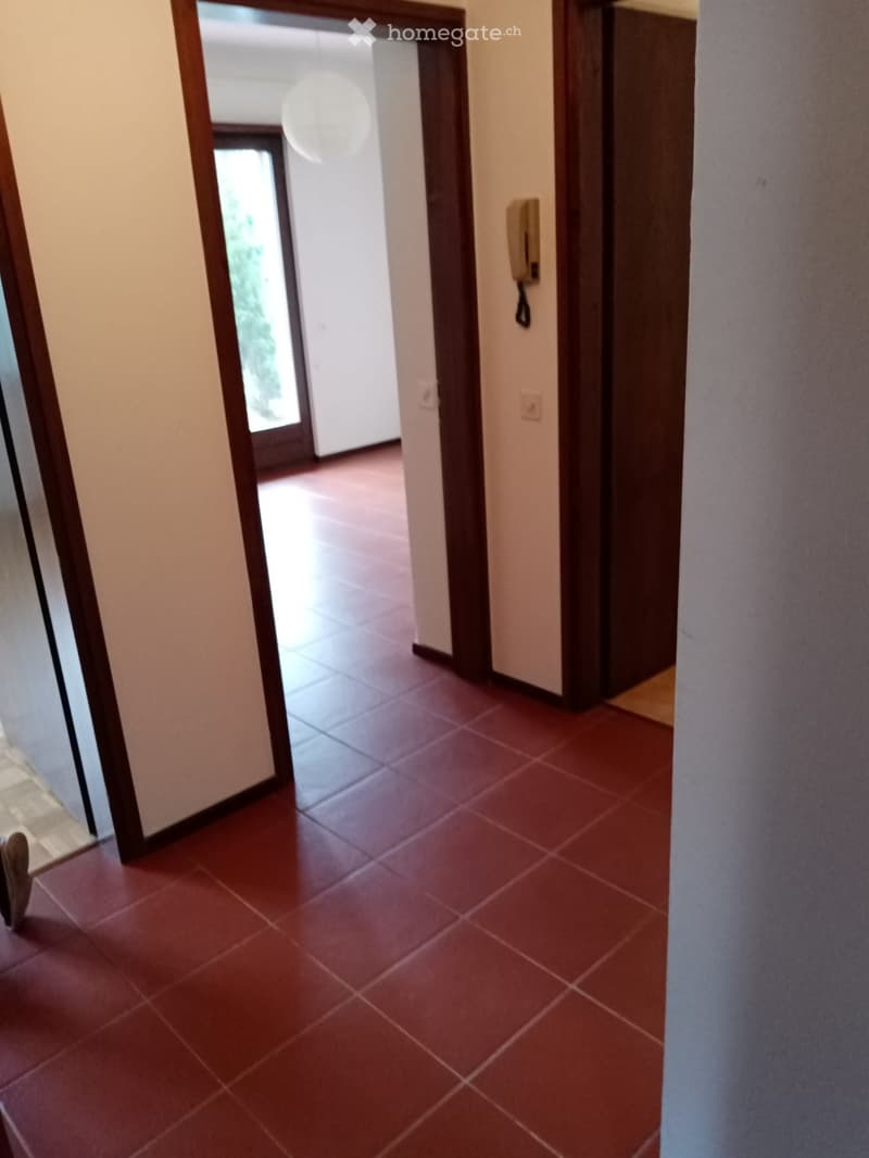 Affittasi appartamento 2.5 locali a Origlio-Carnago (5)