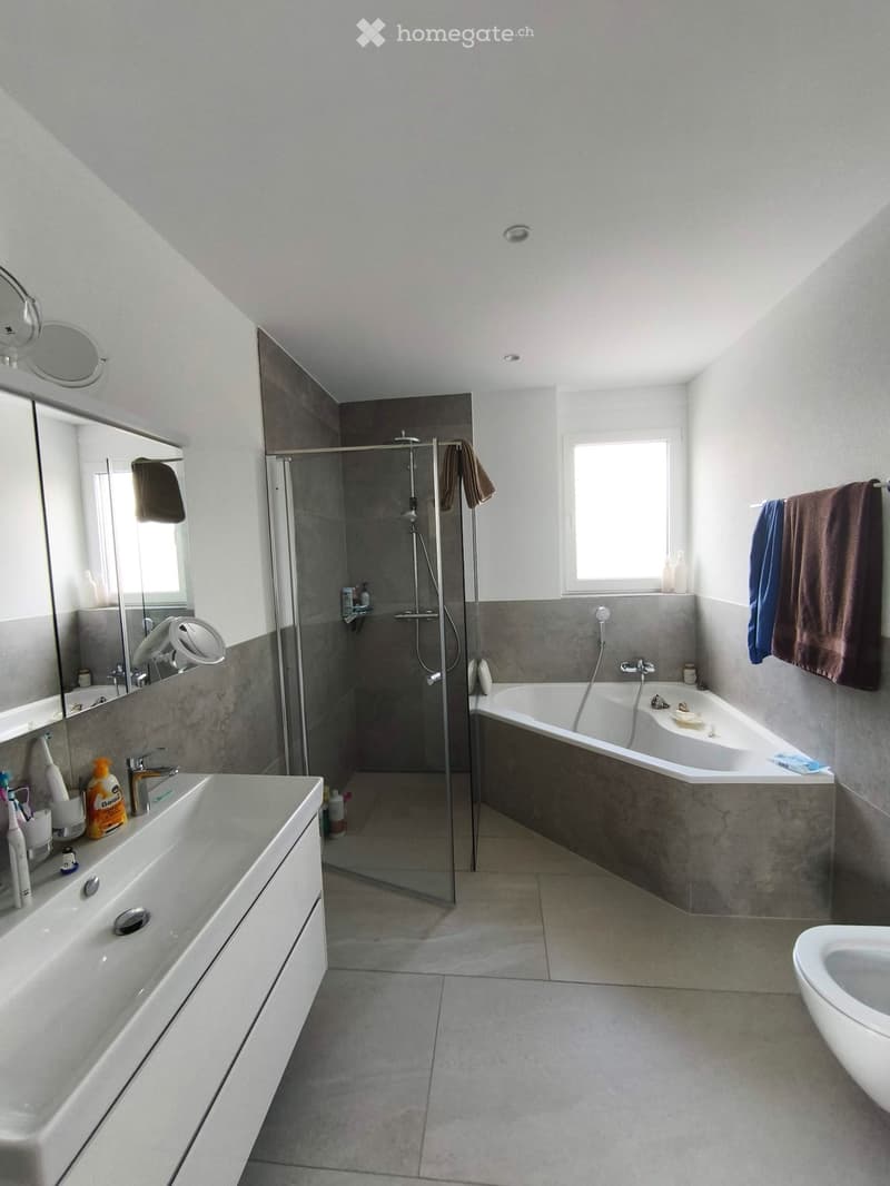 Exklusive 4.5-Zimmer-Attikawohnung in Reinach AG Nachmieter (4)