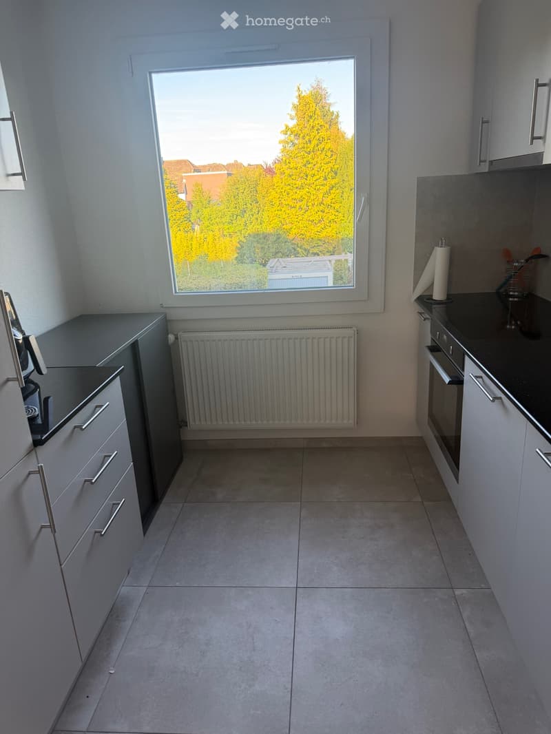 Appartement 3,5 à louer (5)