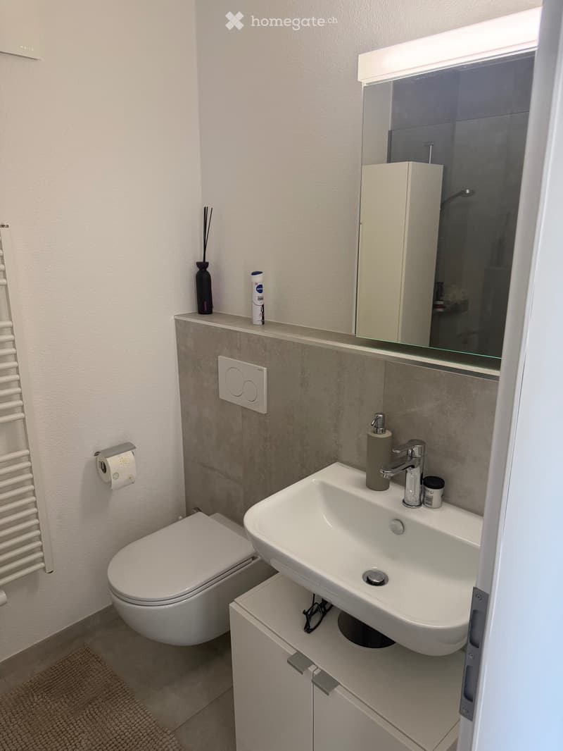 Appartement 3,5 à louer (3)