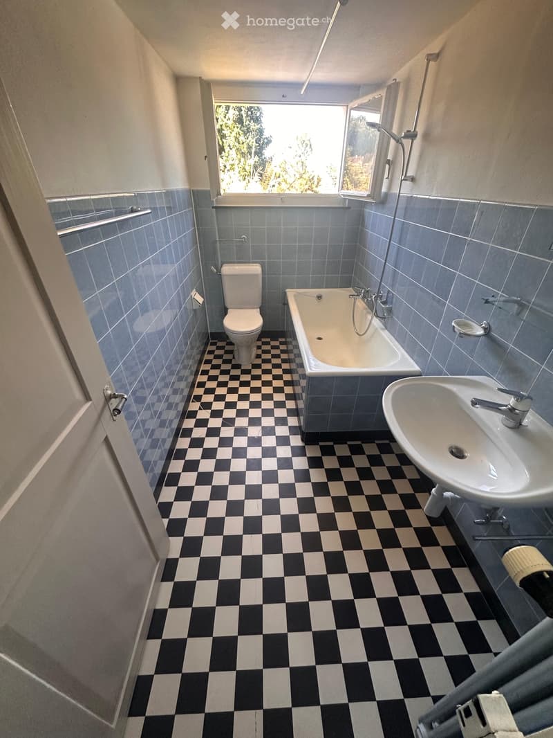 Wohnung zu vermieten. 3,5 / 4,5 Zimmer (4)