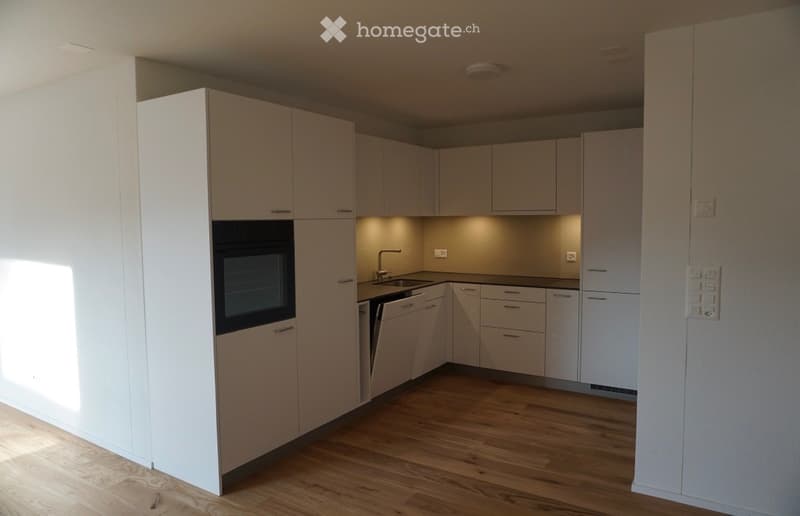 Moderne 3.5-Zimmer-Neubauwohnung mit 2 Balkonen in Luzern (2)