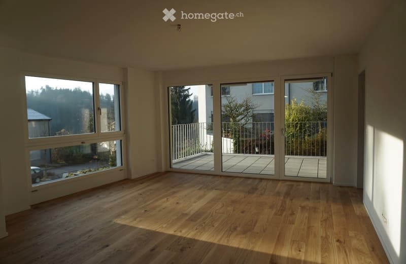 Moderne 3.5-Zimmer-Neubauwohnung mit 2 Balkonen in Luzern (1)