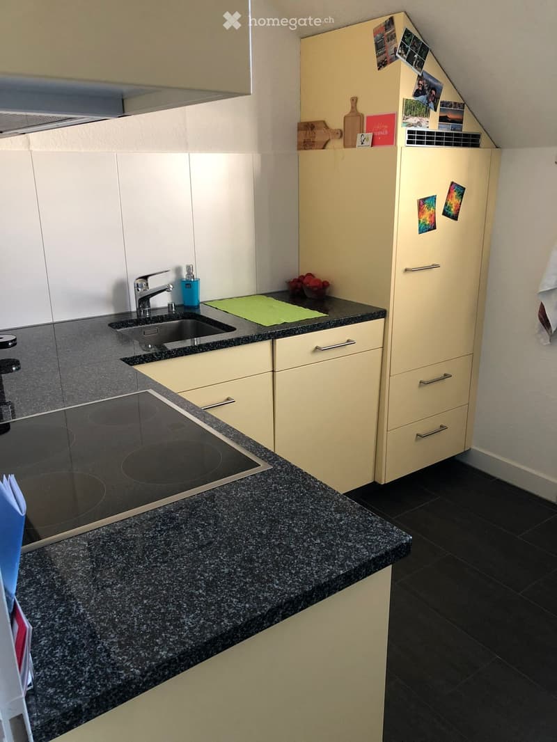 4.5 Zimmer Wohnung in Dagmersellen (3)