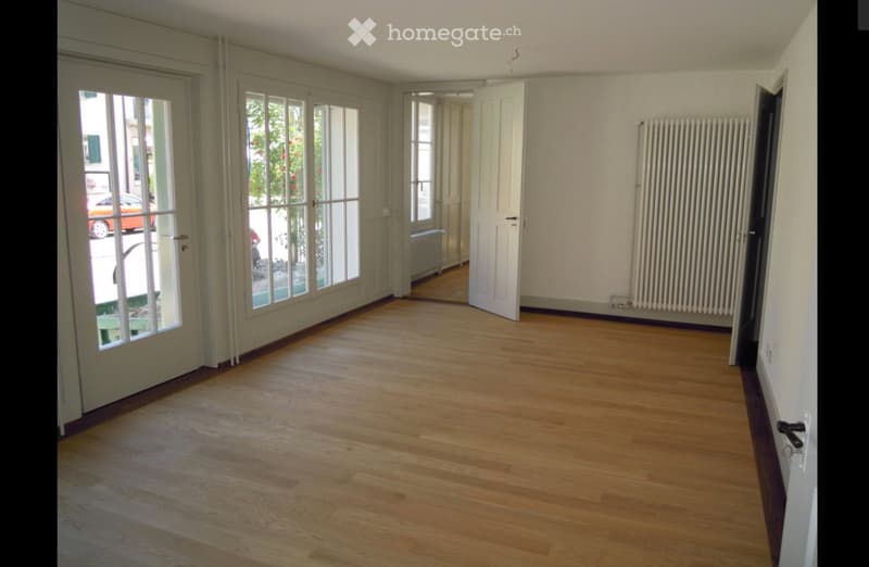 schöne 4 -Zimmer Altbauwohnung mit Gartenmitbenützung im EG (1)