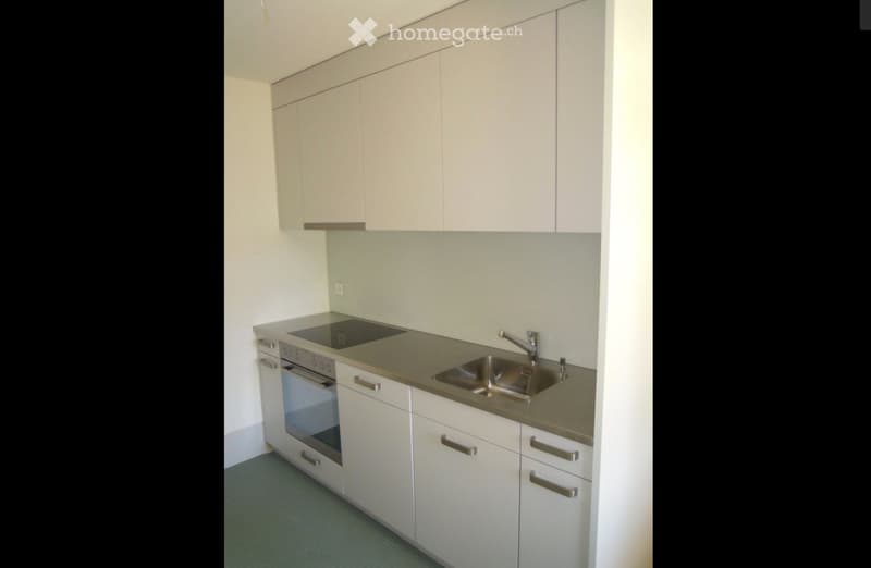 schöne 4 -Zimmer Altbauwohnung mit Gartenmitbenützung im EG (3)