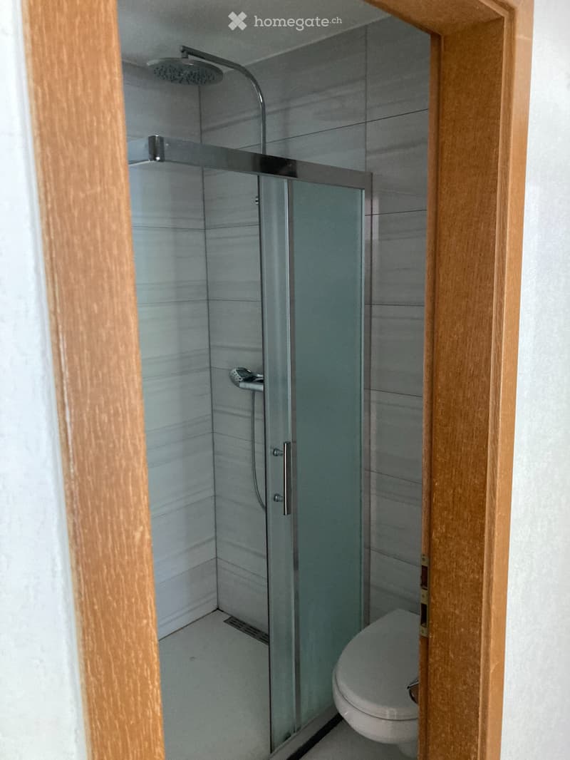 Neu renoviertes Studio zu Vermieten in Agarn /VS (4)