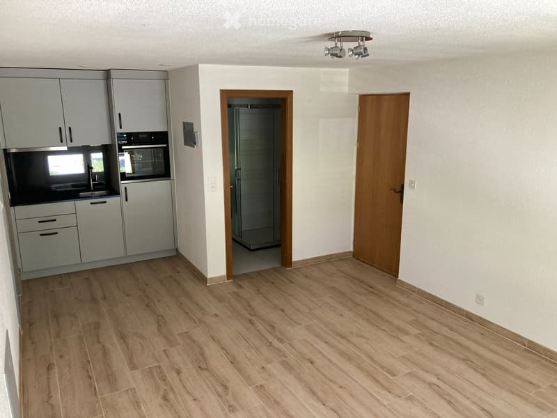 Neu renoviertes Studio zu Vermieten in Agarn /VS (2)