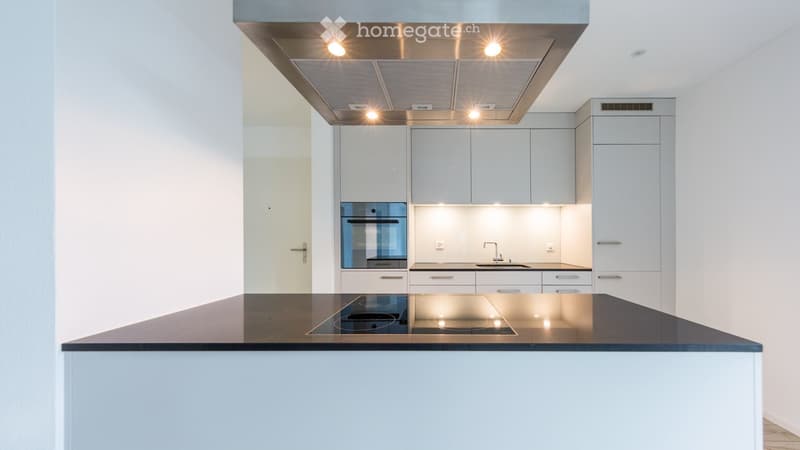 Moderne, helle 3.5Zi-Wohnung in Erlinsbach AG (1)