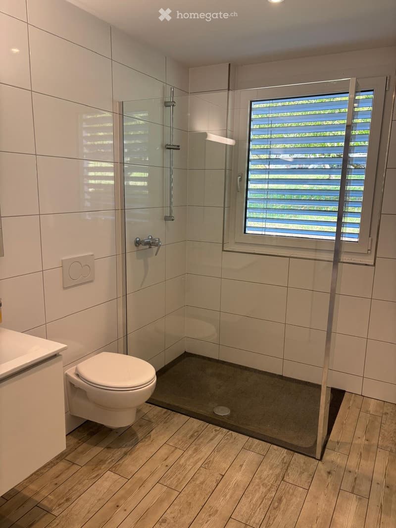 Moderne, helle 3.5Zi-Wohnung in Erlinsbach AG (2)