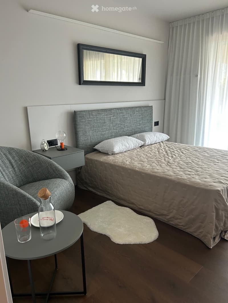 Affitto 2,5 con enorme terrazzo (3)