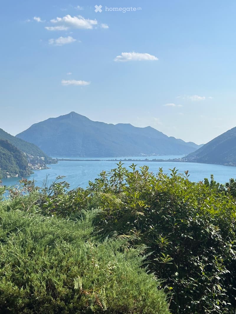 Affitto 2,5 con enorme terrazzo (1)
