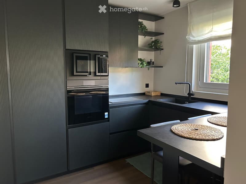 Affitto 2,5 con enorme terrazzo (2)
