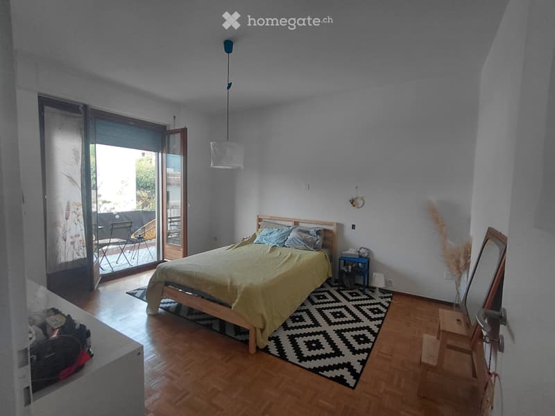 Appartamento 3,5 loc, luminoso in piccola palazzina (5)