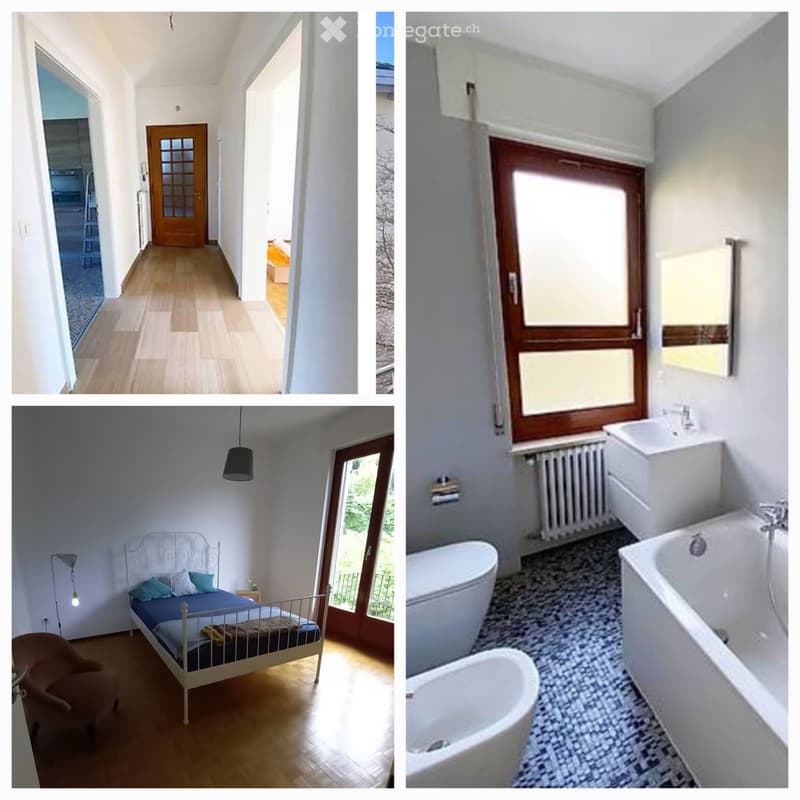 Appartamento 3,5 loc, luminoso in piccola palazzina (3)