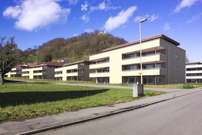 Nachmieter für grosszügige, helle Wohnung gesucht (1)