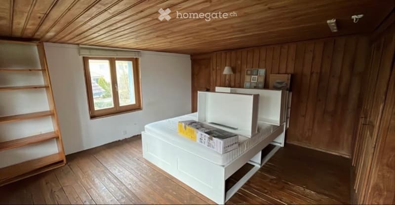 Gemütliches grosses Wg Zimmer mit Vorzimmer (1)