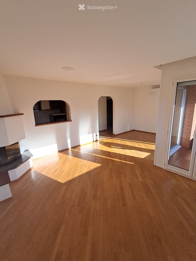 Appartamento 4,5 locali a Pregassona (5)