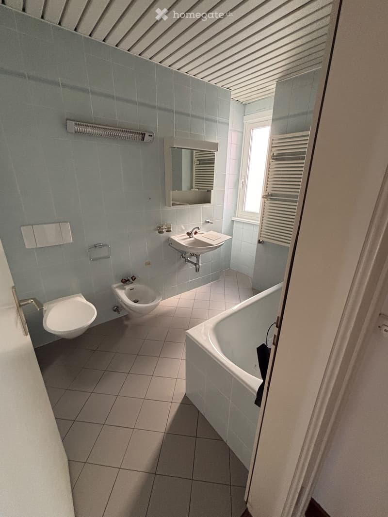 Lugano - Besso Elegante appartamento rinnovato (8)