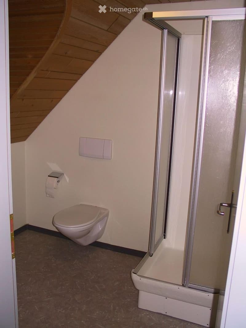 Ruhige Dachwohnung (1)