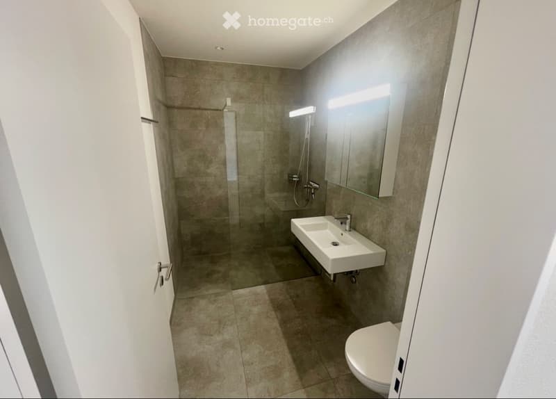 Grosszügige1. Zimmer Wohnung (3)