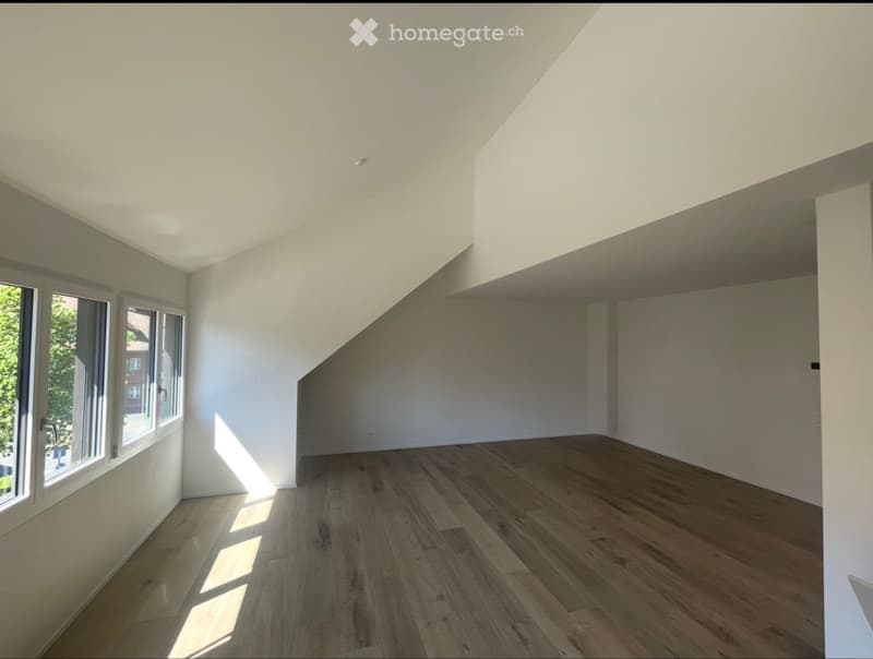 Grosszügige1. Zimmer Wohnung (2)