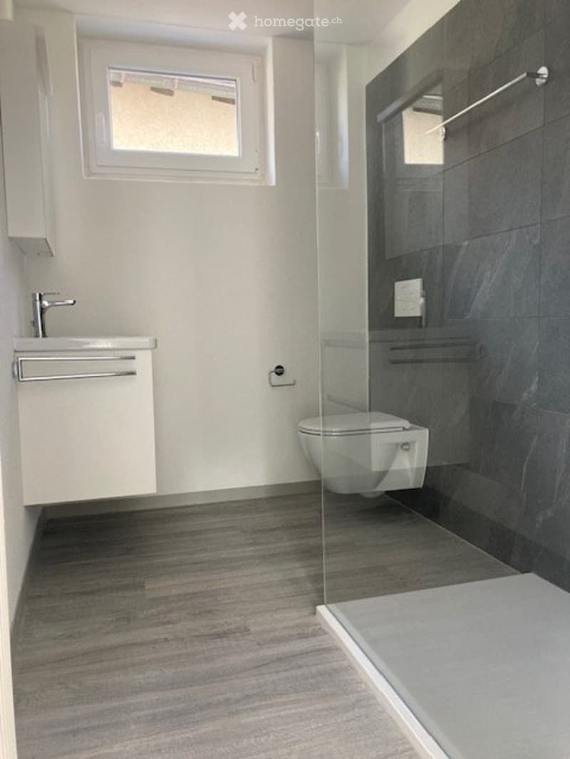 BELLINZONA - AFFITTASI A PIANEZZO 2.5 LOCALI (4)
