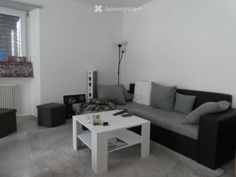 BELLINZONA - AFFITTASI A PIANEZZO 2.5 LOCALI (3)