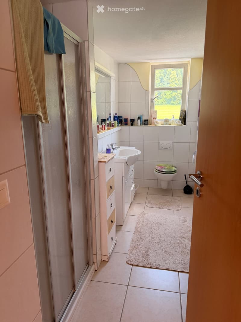 3.5-Zimmer Wohnung in Necker mit Balkon (3)