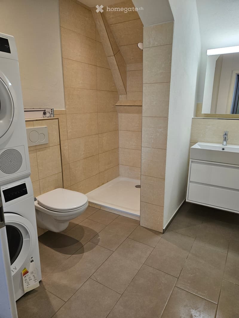 3.5 Zimmer Maisonette-Wohnung (5)