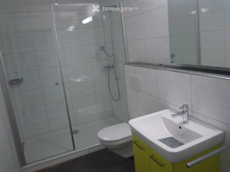 Schöne Einliegerwohnung mit grossem Sitzplatz (1)