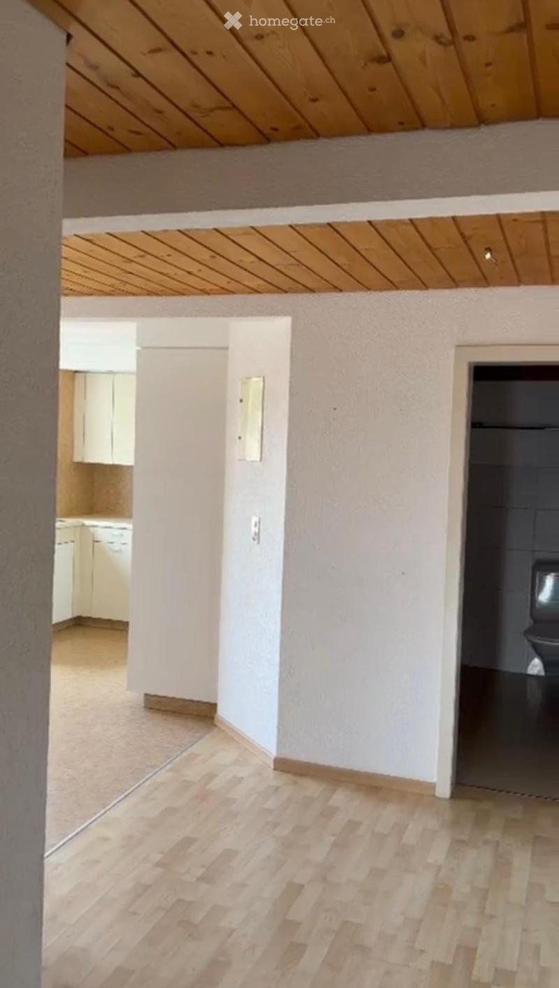 Wohnung hell & grosszügig - Nähe Rhein / Altstadt SH (5)