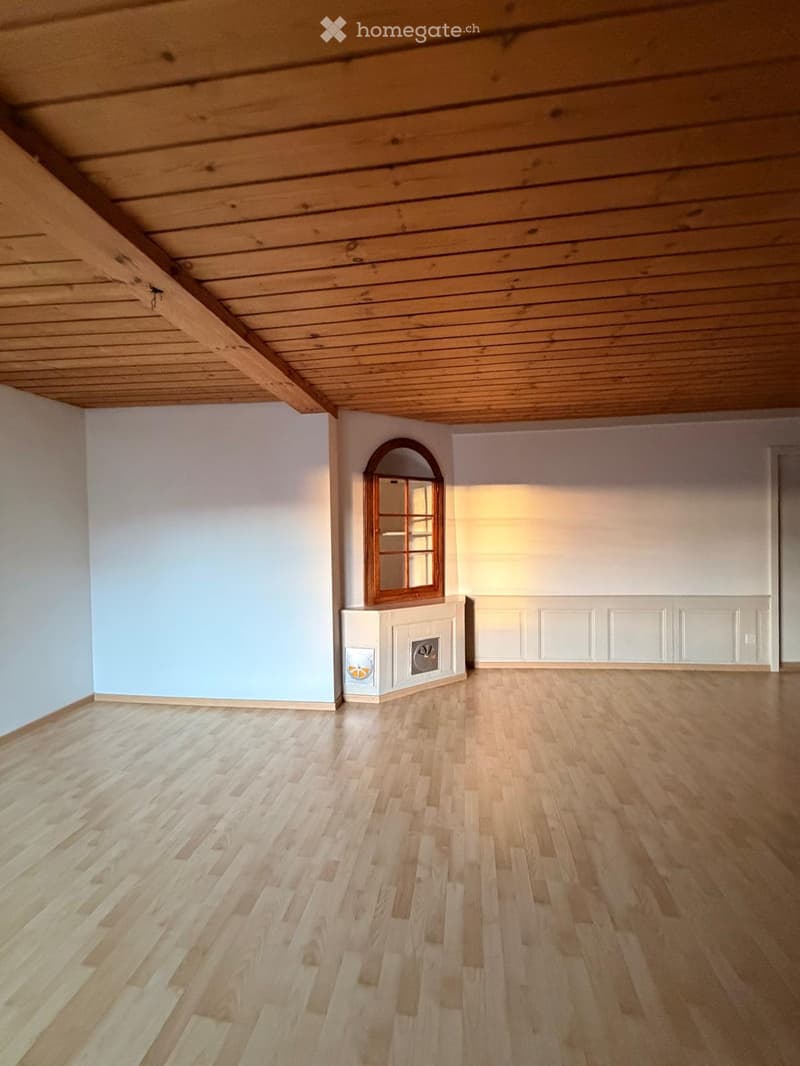 Wohnung hell & grosszügig - Nähe Rhein / Altstadt SH (2)