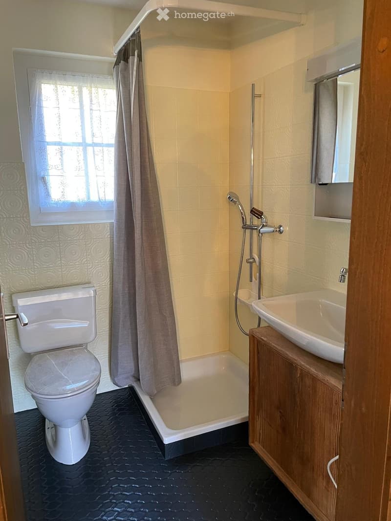 1.5 Zimmerwohnung / Studio zum vermieten (5)