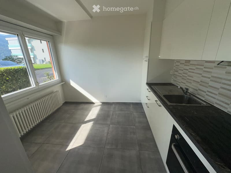 Lugano-Vezia affitto 2 locali, nel verde, zona tranquilla (1)