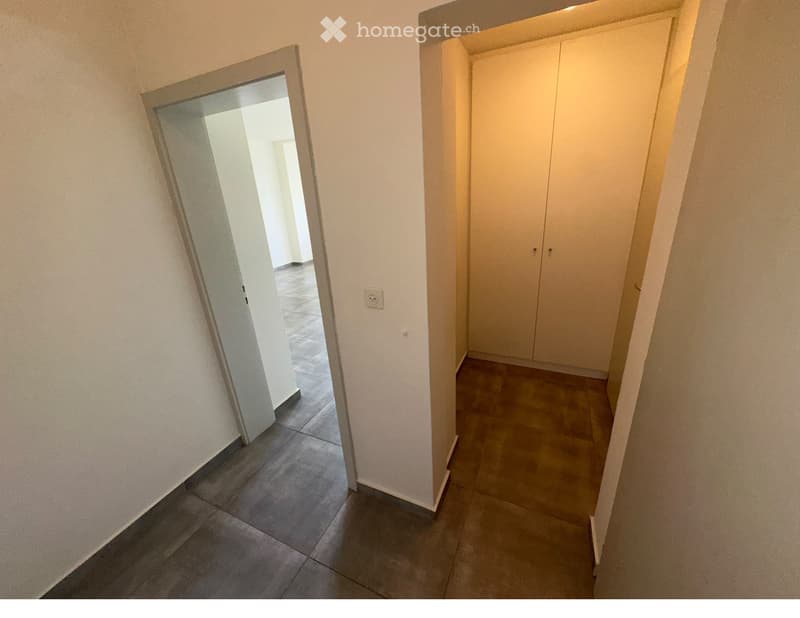 Lugano-Vezia affitto 2 locali, nel verde, zona tranquilla (3)