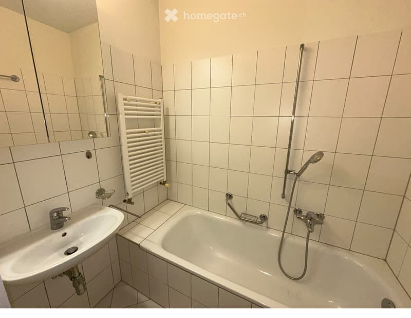 Lugano-Vezia affitto 2 locali, nel verde, zona tranquilla (4)