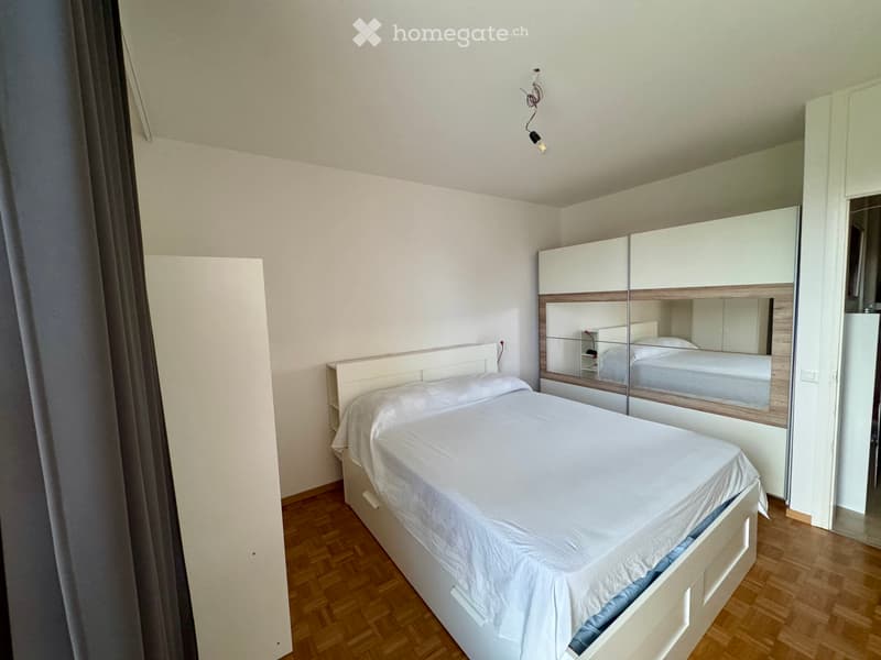Grazioso appartamento 2.5 locali a Lugano (2)