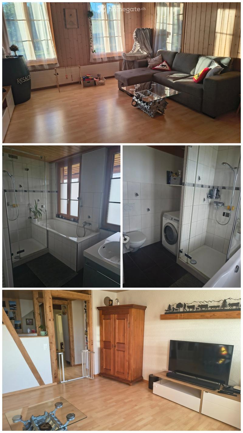 3 1/2 Zimmerwohnung (3)