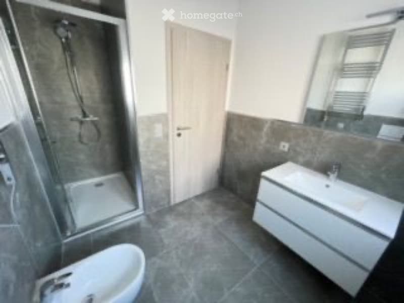 MODERNO 2.5 a Capolago (5)