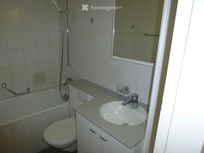 Zentral gelegene, ruhige 3.5 Zimmer Wohnung in Aarau Rohr (4)