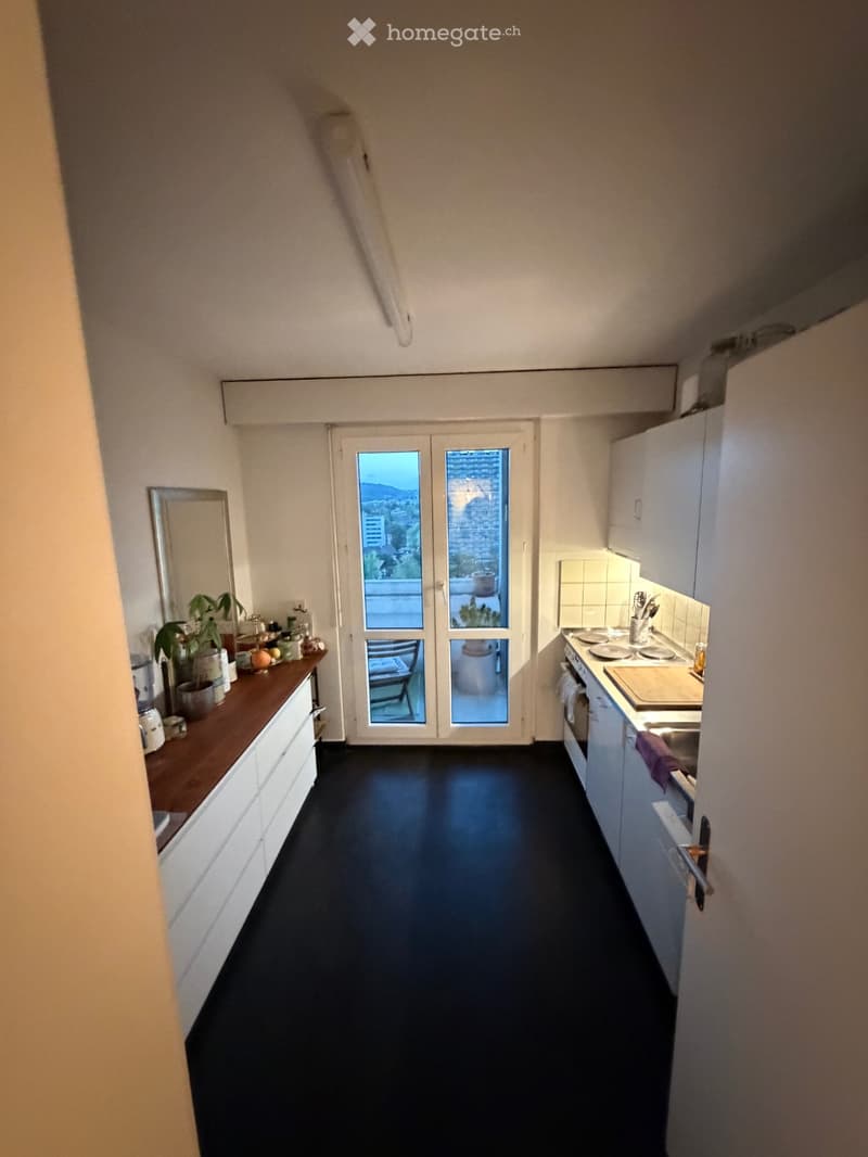 3.5 Zimmer Wohnung (2)
