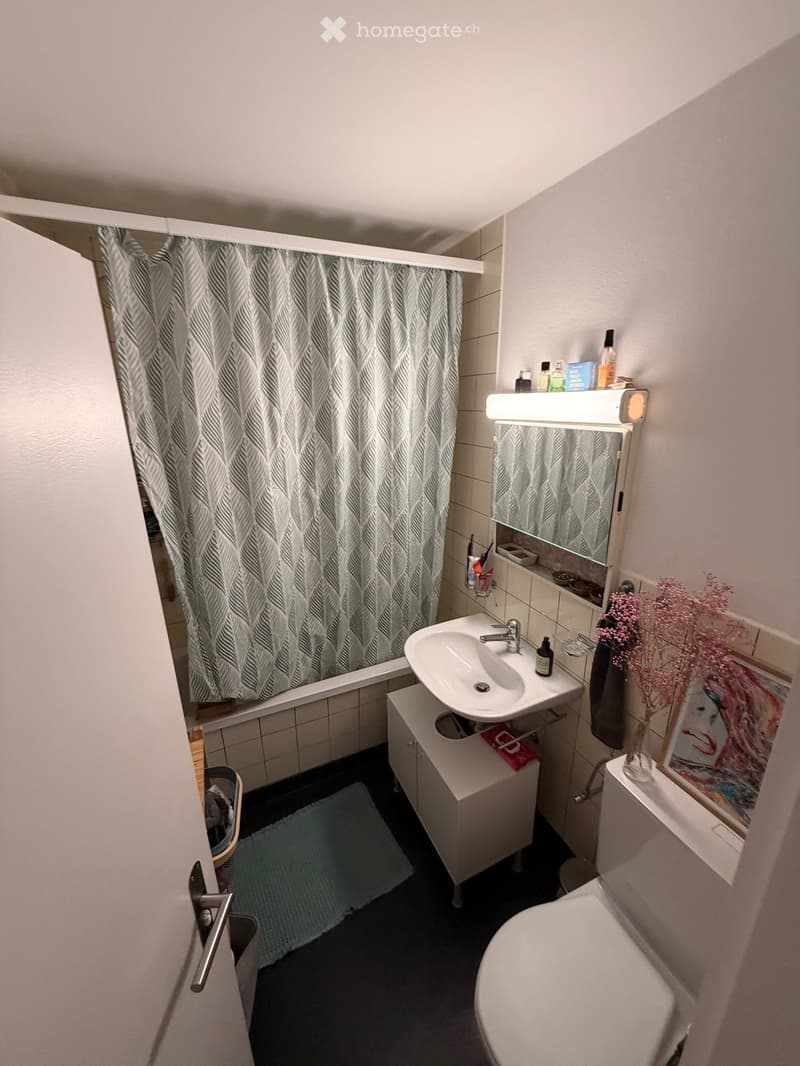 3.5 Zimmer Wohnung (4)