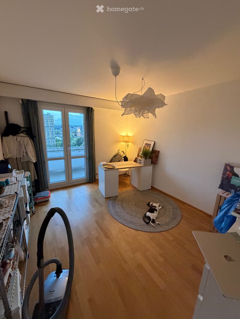 3.5 Zimmer Wohnung (5)