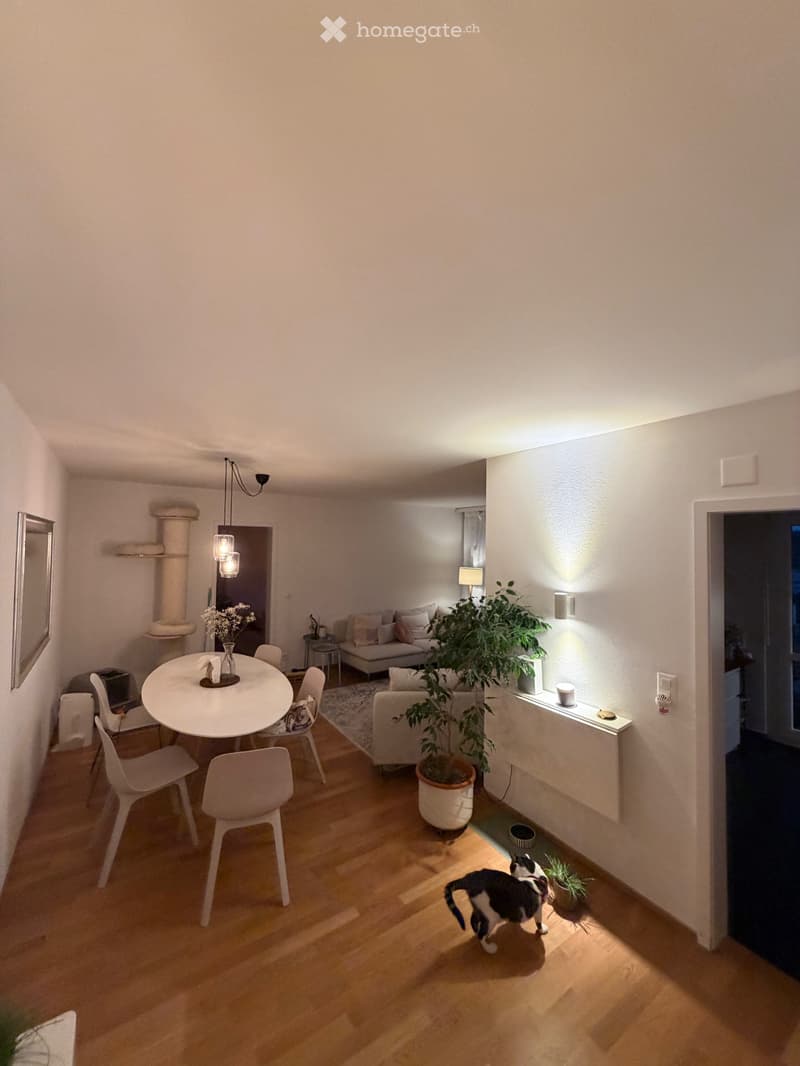3.5 Zimmer Wohnung (1)