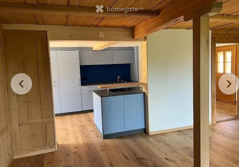 Charmante 2.5-Zimmer-Wohnung in Brittern (3)