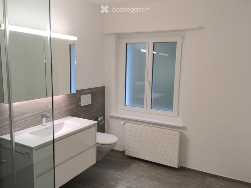 4 1/2 Zimmer Wohnung mit toller Aussicht (4)